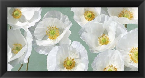 Framed Poppy Arrangement (Mint) Print