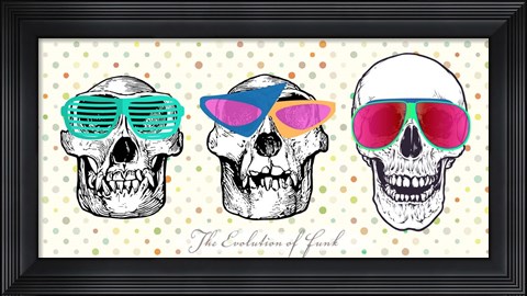 Framed Evolution of Funk Print