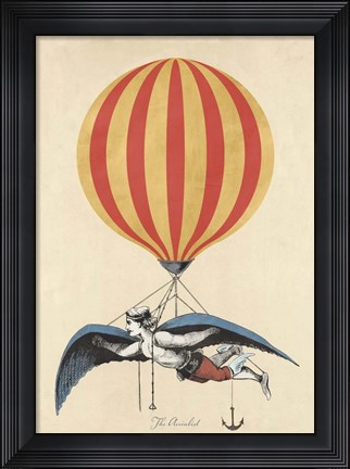 Framed Aerialist Print