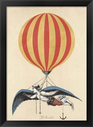 Framed Aerialist Print