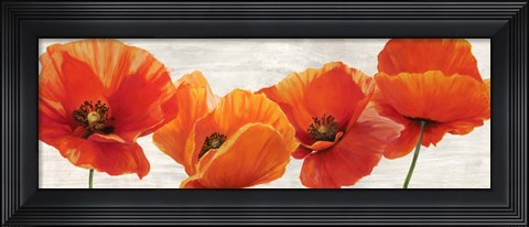 Framed Bright Poppies Print
