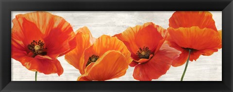 Framed Bright Poppies Print