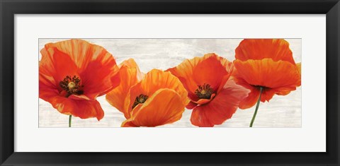 Framed Bright Poppies Print