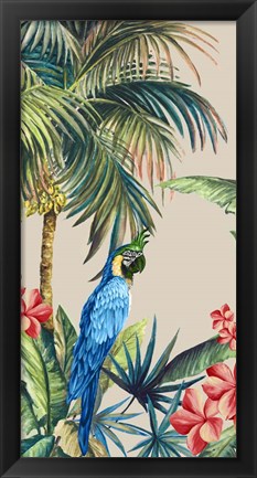 Framed Tropicano II Print