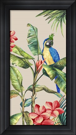 Framed Tropicano II Print