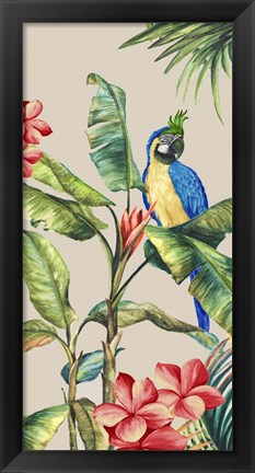 Framed Tropicano II Print