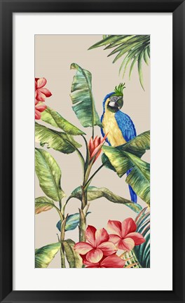 Framed Tropicano II Print