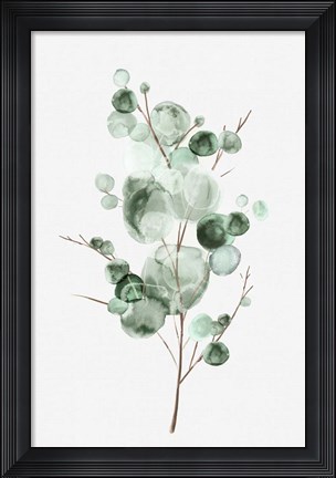 Framed Tender Sprout I Print
