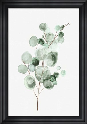 Framed Tender Sprout II Print
