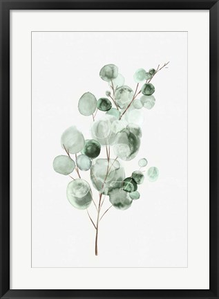 Framed Tender Sprout II Print