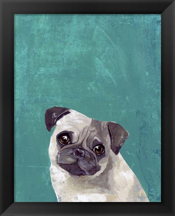 Framed Pug Puppy Print