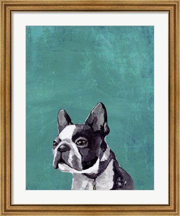 Framed Frenchie Puppy Print