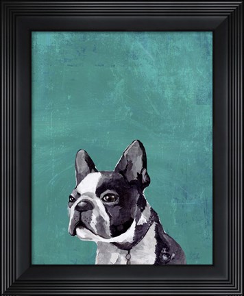 Framed Frenchie Puppy Print