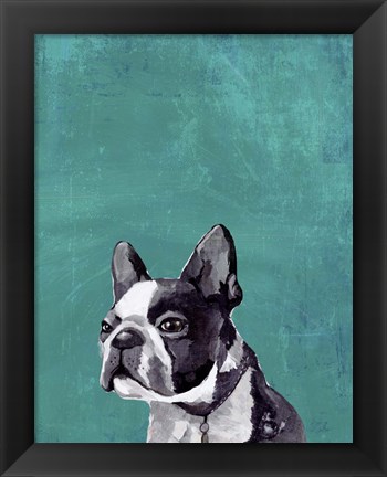 Framed Frenchie Puppy Print