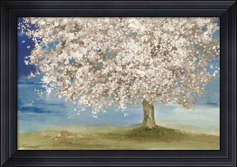 Framed Silent Patience Print