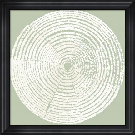 Framed Circles of Life I Print