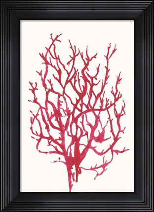 Framed Red Reef Coral I Print