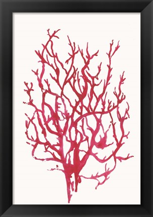 Framed Red Reef Coral I Print