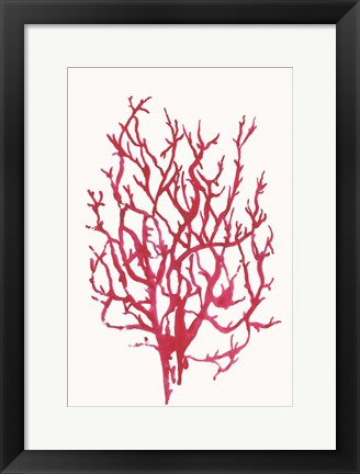 Framed Red Reef Coral I Print