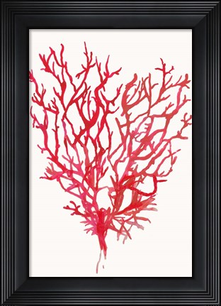 Framed Red Reef Coral II Print