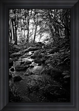 Framed Lush Creek in Forest BW Print