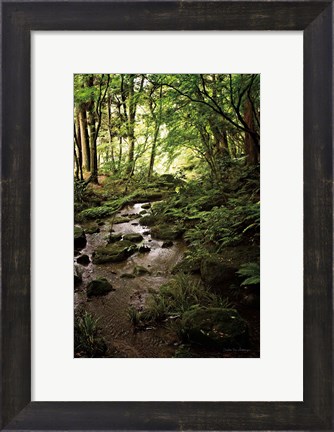 Framed Lush Creek in Forest Print