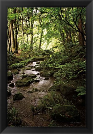 Framed Lush Creek in Forest Print