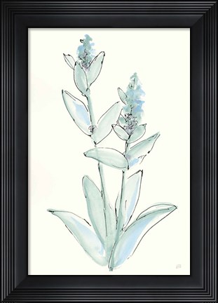 Framed Lambs Ear Sage IV Print