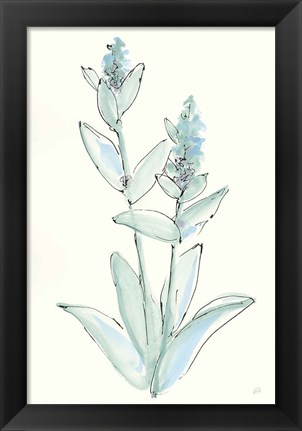 Framed Lambs Ear Sage IV Print