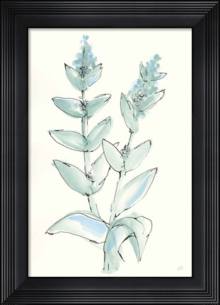 Framed Lambs Ear Sage III Print