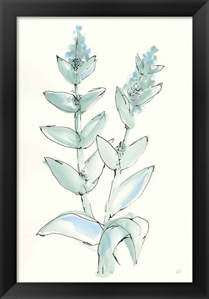 Framed Lambs Ear Sage III Print