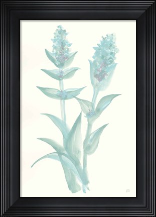 Framed Lambs Ear Sage II Print