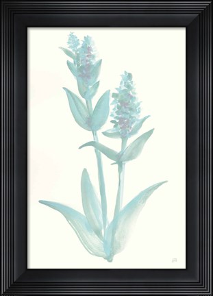 Framed Lambs Ear Sage I Print