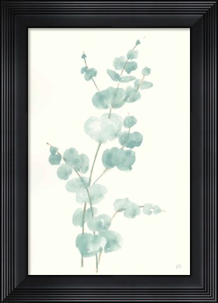 Framed Eucalyptus Branch II Print