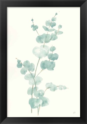 Framed Eucalyptus Branch II Print