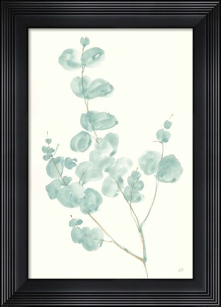 Framed Eucalyptus Branch I Print