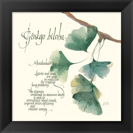 Framed Ginkgo Biloba Print