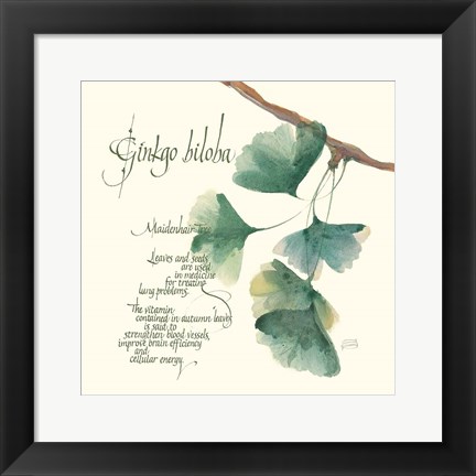 Framed Ginkgo Biloba Print