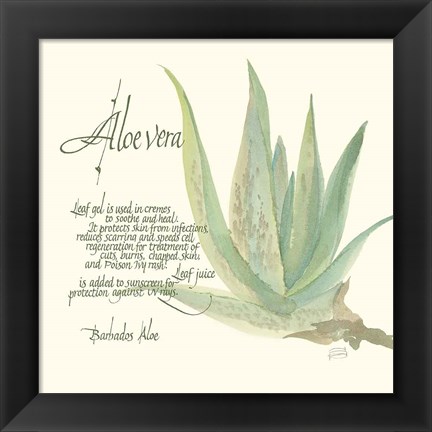 Framed Aloe Vera Print