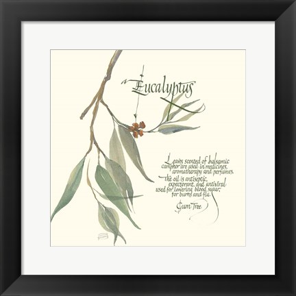 Framed Eucalyptus Print