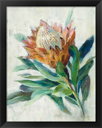 Framed Protea Print