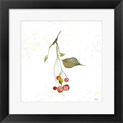 Framed Botticelli Plants III Print