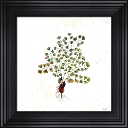 Framed Botticelli Plants II Print