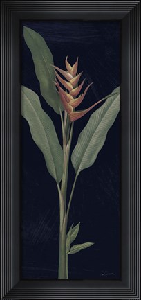 Framed Dramatic Tropical IV Light Crop Print