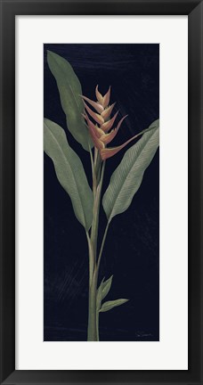 Framed Dramatic Tropical IV Light Crop Print