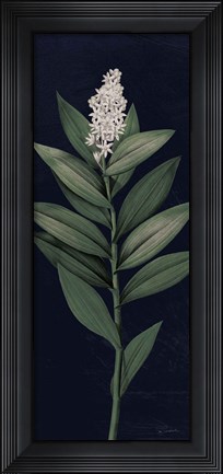 Framed Dramatic Tropical III Light Crop Print