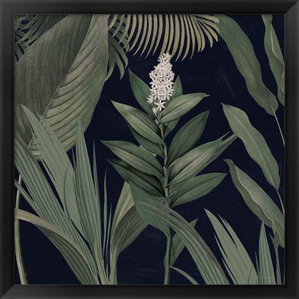 Framed Dramatic Tropical I Light Print