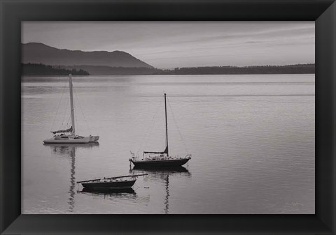 Framed Bellingham Bay BW Print