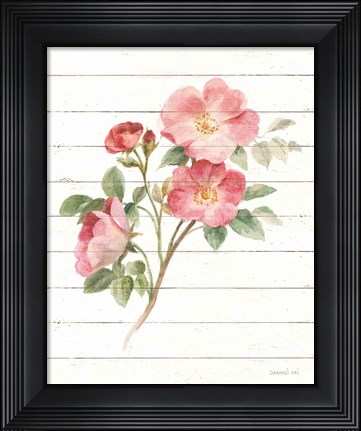 Framed Sprigs of Summer II Print