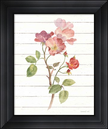 Framed Sprigs of Summer I Print